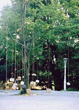 Upside Down - image2
