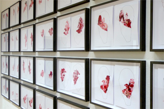 Spots, 2012 - Bild1
