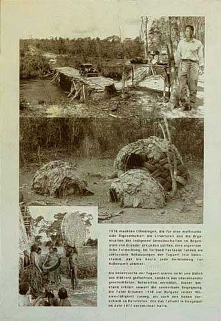 Black burrow - image3