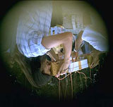 Upside Down - image5