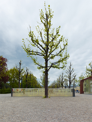 Glasgestaltung Schloßplatz Karlsruhe - Bild5