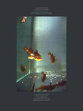 Fishermen’s - image11